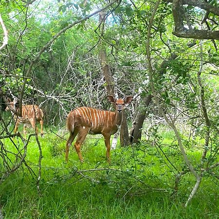 Hideaways Lazuli Bush Lodge, שלושלואי מראה חיצוני תמונה