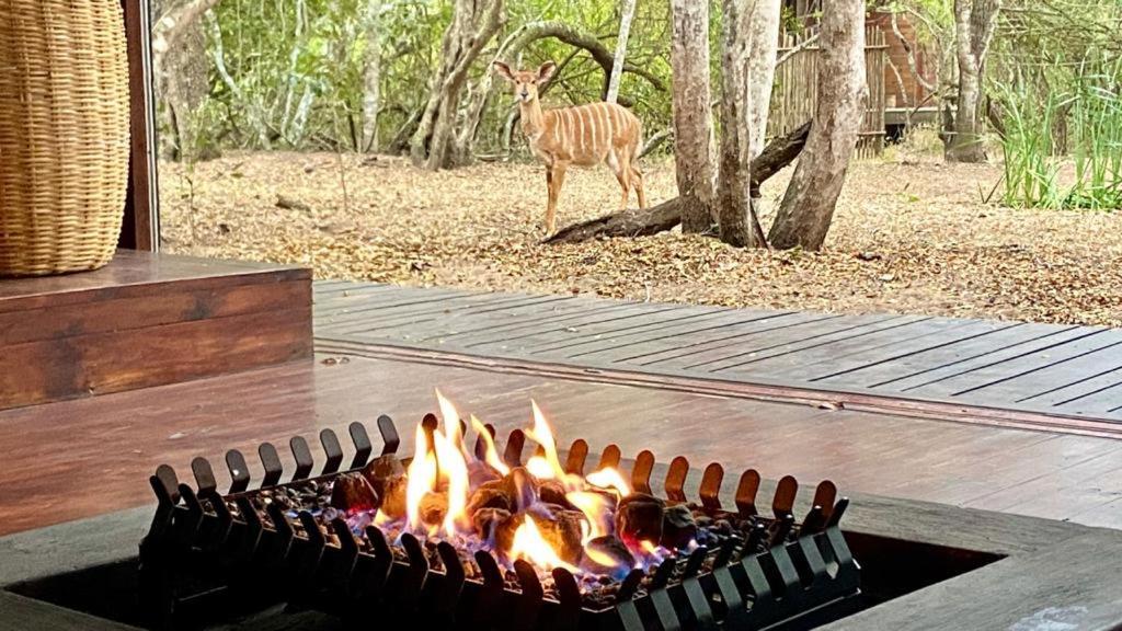Hideaways Lazuli Bush Lodge, שלושלואי מראה חיצוני תמונה