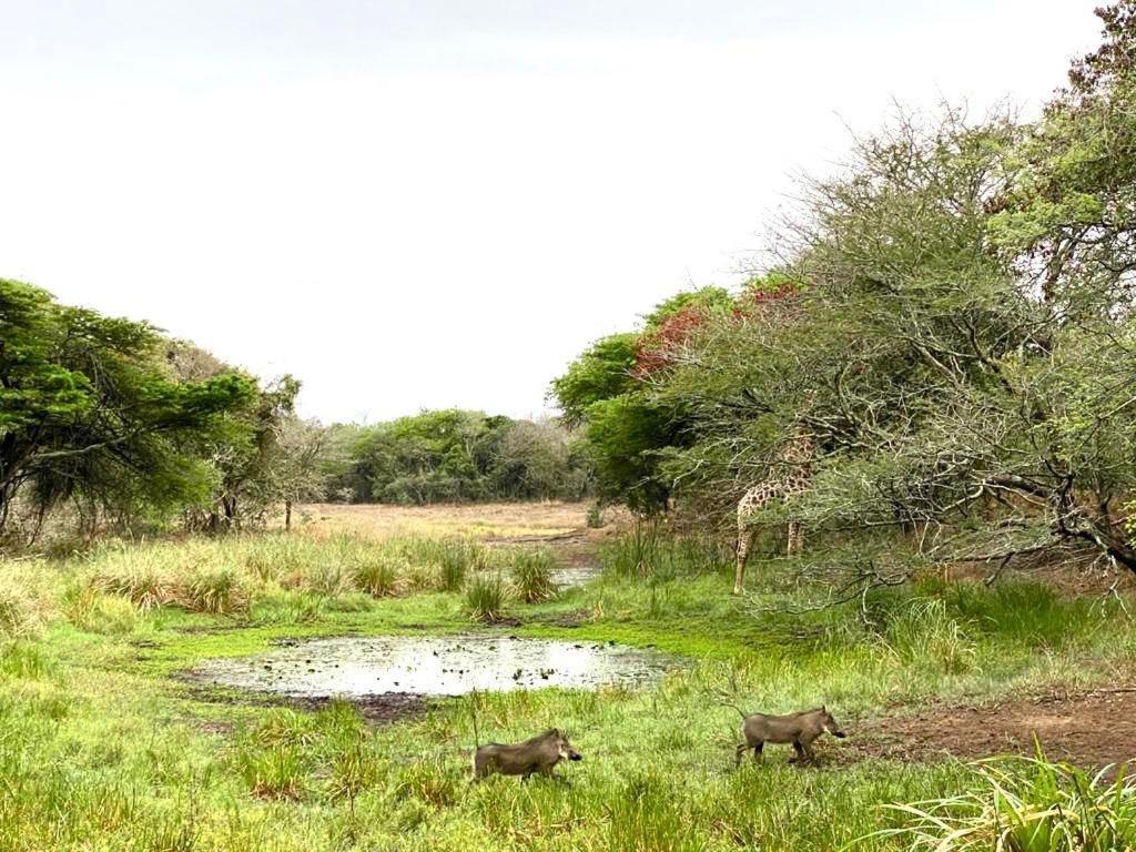 Hideaways Lazuli Bush Lodge, שלושלואי מראה חיצוני תמונה
