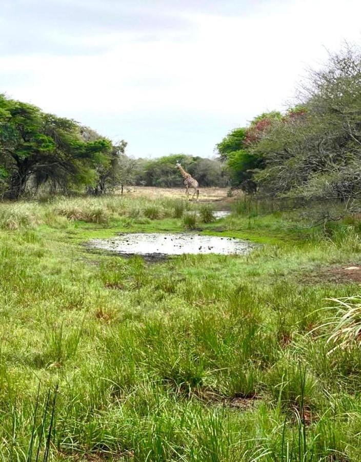 Hideaways Lazuli Bush Lodge, שלושלואי מראה חיצוני תמונה
